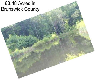 63.48 Acres in Brunswick County