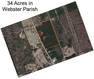 34 Acres in Webster Parish