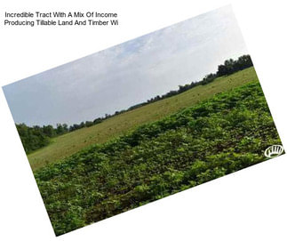 Incredible Tract With A Mix Of Income Producing Tillable Land And Timber Wi
