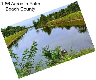 1.66 Acres in Palm Beach County