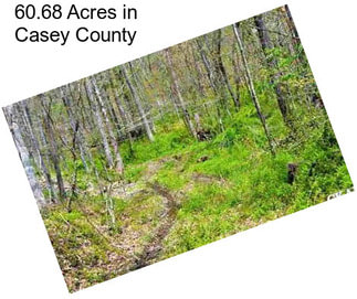 60.68 Acres in Casey County