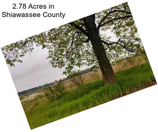 2.78 Acres in Shiawassee County