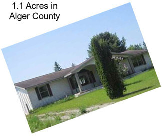 1.1 Acres in Alger County