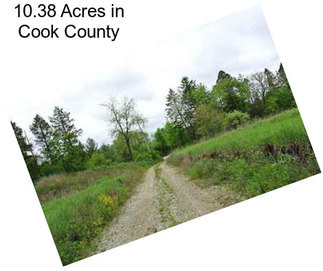 10.38 Acres in Cook County