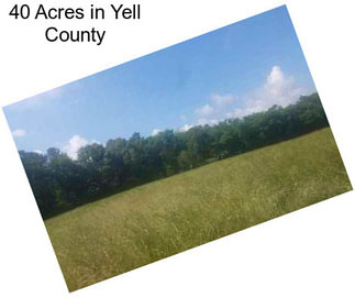 40 Acres in Yell County