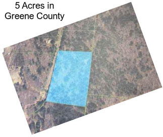 5 Acres in Greene County