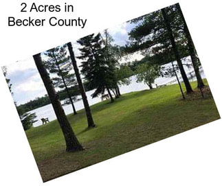 2 Acres in Becker County