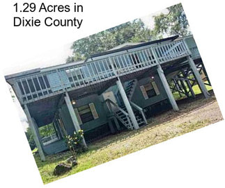 1.29 Acres in Dixie County