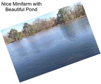 Nice Minifarm with Beautiful Pond