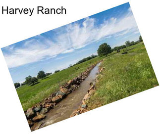 Harvey Ranch