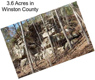 3.6 Acres in Winston County