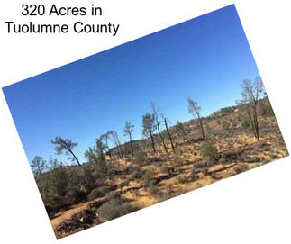 320 Acres in Tuolumne County