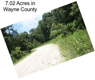 7.02 Acres in Wayne County