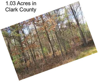 1.03 Acres in Clark County