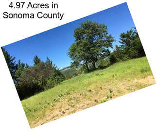 4.97 Acres in Sonoma County