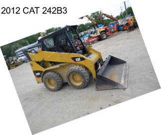 2012 CAT 242B3