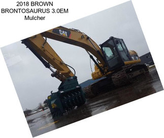 2018 BROWN BRONTOSAURUS 3.0EM Mulcher