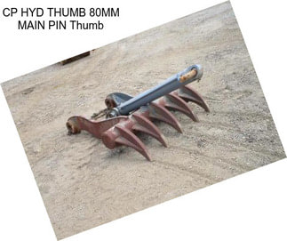 CP HYD THUMB 80MM MAIN PIN Thumb