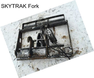 SKYTRAK Fork