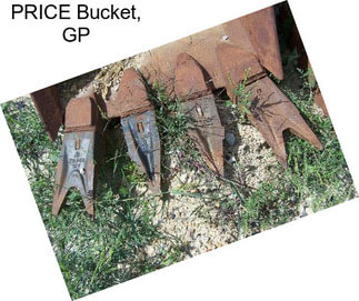 PRICE Bucket, GP