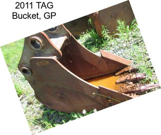 2011 TAG Bucket, GP