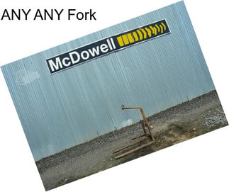 ANY ANY Fork