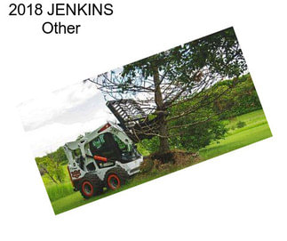 2018 JENKINS Other