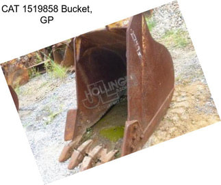 CAT 1519858 Bucket, GP