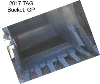 2017 TAG Bucket, GP