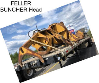 FELLER BUNCHER Head