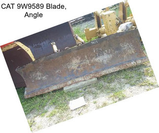 CAT 9W9589 Blade, Angle