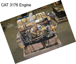 CAT 3176 Engine