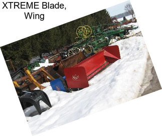 XTREME Blade, Wing