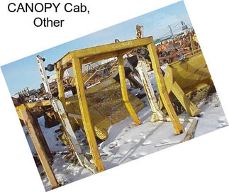 CANOPY Cab, Other