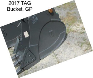 2017 TAG Bucket, GP