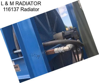 L & M RADIATOR 116137 Radiator