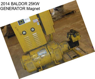 2014 BALDOR 25KW GENERATOR Magnet