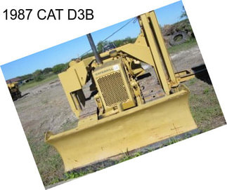 1987 CAT D3B