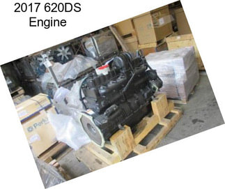 2017 620DS Engine