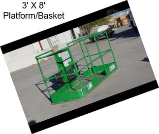 3\' X 8\' Platform/Basket