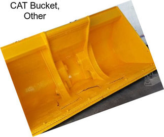 CAT Bucket, Other