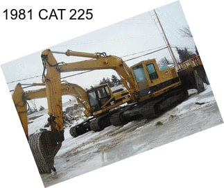 1981 CAT 225