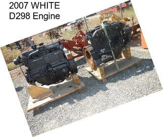 2007 WHITE D298 Engine