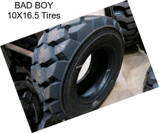 BAD BOY 10X16.5 Tires