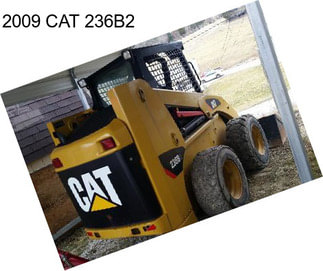 2009 CAT 236B2