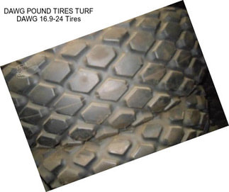 DAWG POUND TIRES TURF DAWG 16.9-24 Tires