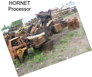 HORNET Processor