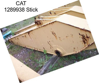 CAT 1289938 Stick