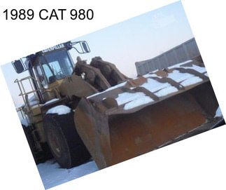 1989 CAT 980