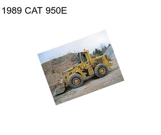 1989 CAT 950E